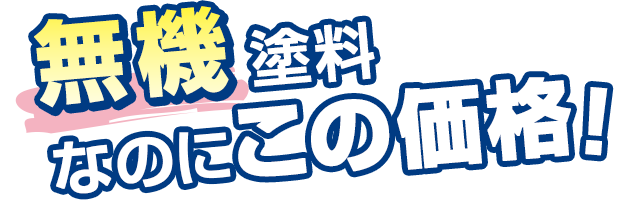 特別商品タイトル